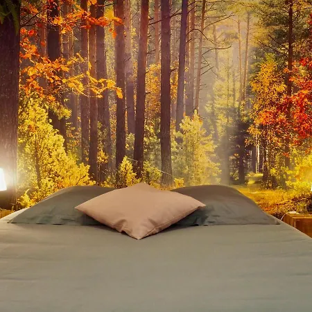 Camino Real Πανσιόν Saint-Jean-Pied-de-Port