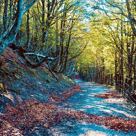 Camino Real Saint-Jean-Pied-de-Port