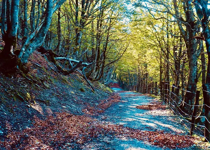 Camino Real Saint-Jean-Pied-de-Port